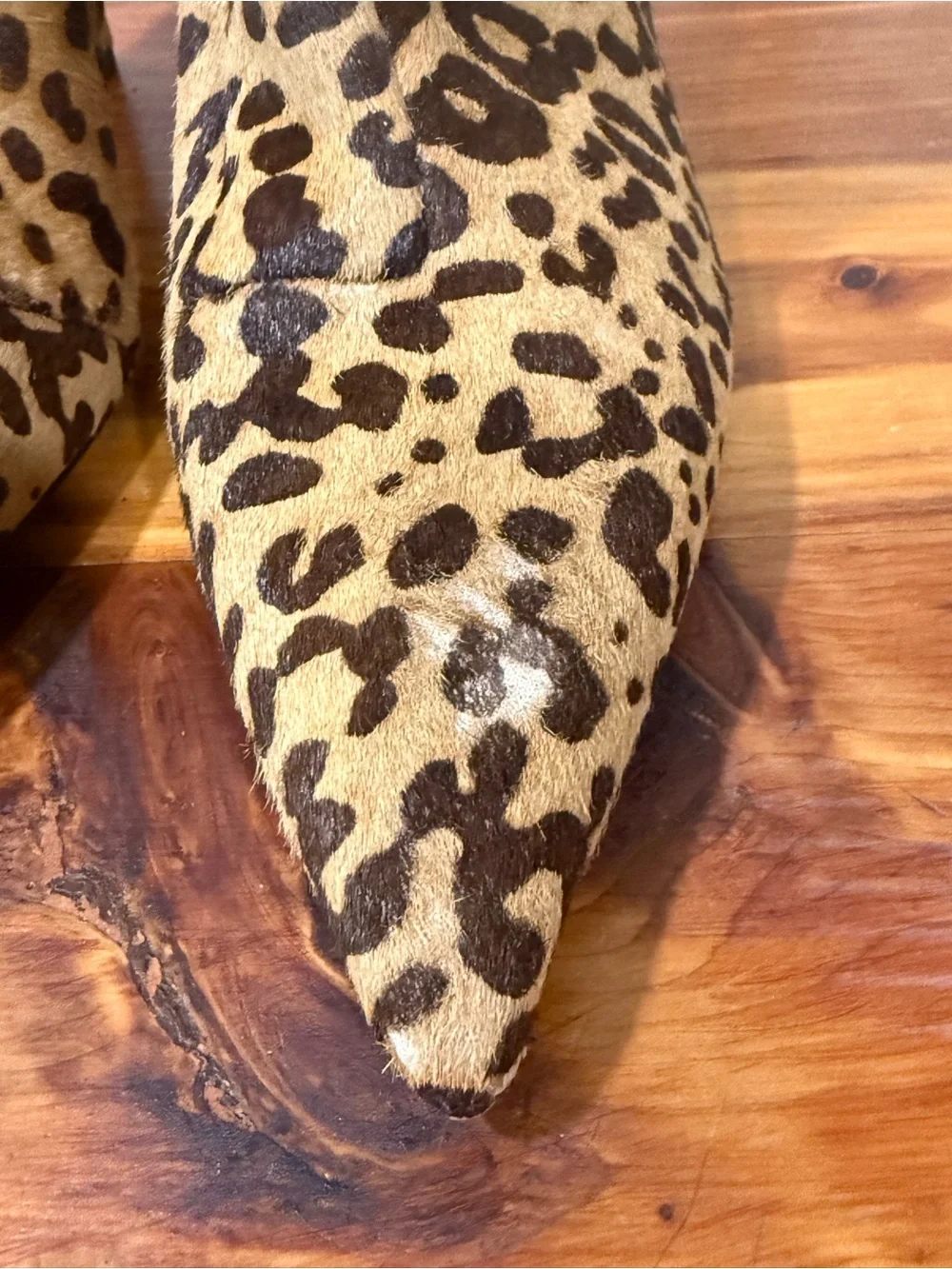 NWOT Steve Madden Alston Calf Hair Leopard Booties